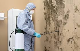 Best Dehumidification Services  in Columbia, KY